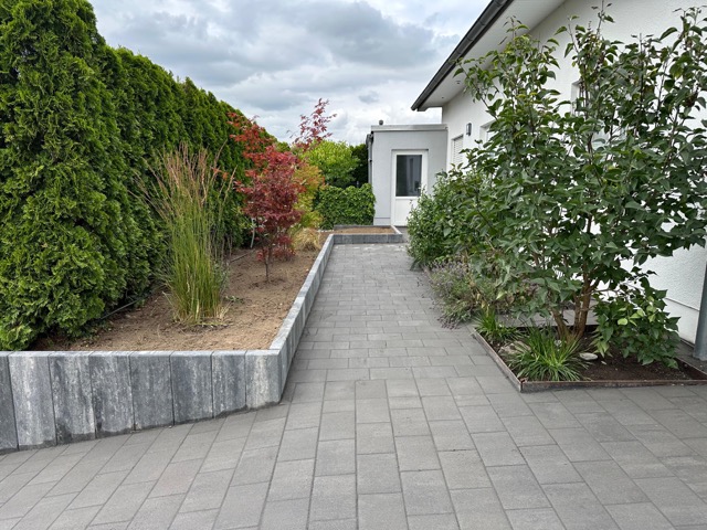 Gepflegter Hauseingang mit gepflastertem Weg, grünen Sträuchern und einem kleinen roten Baum.