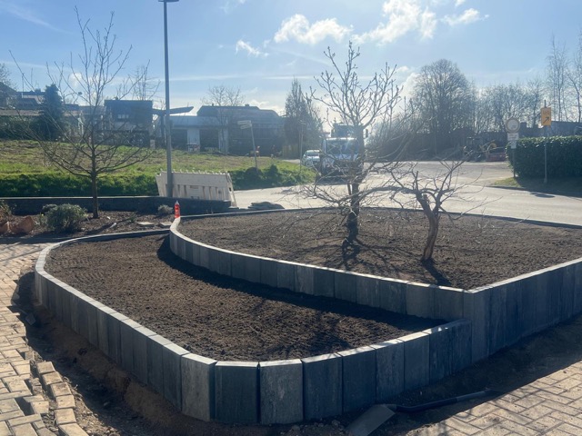 Städtisches Beet mit zwei unbelaubten Bäumen, umgeben von grauen Steinplatten und Pflasterweg.